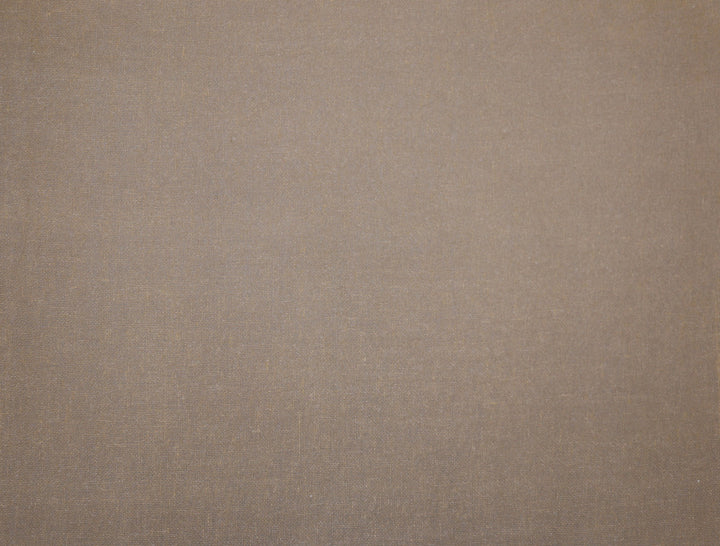 Habitat Beige Wallpaper by Candice Olson Candice Olson Natural Splendor Covers about 72 square feet 36-in by 24-ft long roll Unpasted 0 - Fabric Carolina -