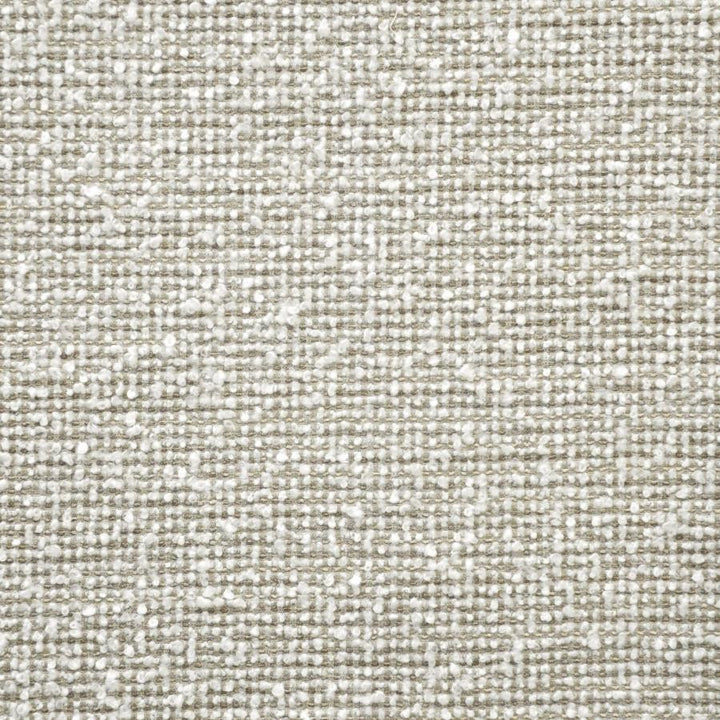 Diyala # 913 Cameo by Maxwell Fabric Telafina Season Xv 48% ACRYLIC/46% COTTON/6% POLYESTER TURKEY 55" - Fabric Carolina -
