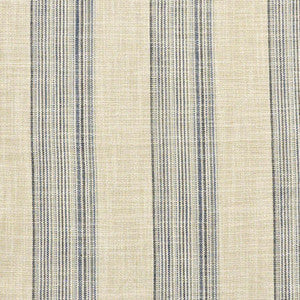 Dover Strait # 633 Ink by Maxwell Fabric