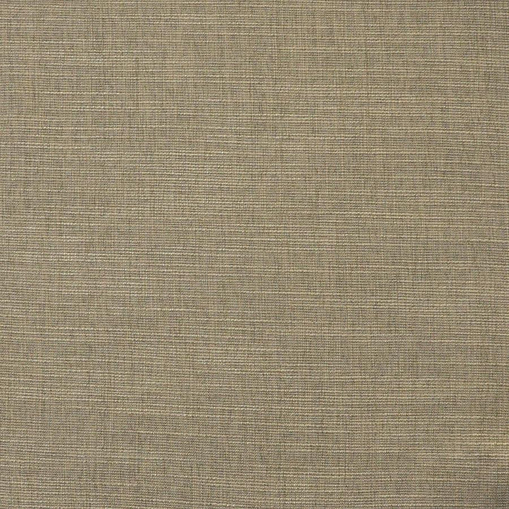 Daintree # 512 Morel by Maxwell Fabric Pure & Simple Xv 65% POLYESTER/35%VISCOSE CHINA 55" - Fabric Carolina -