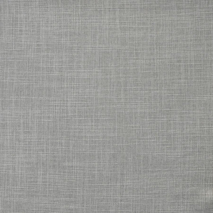 Daintree # 530 Gull by Maxwell Designer Fabric Pure & Simple Xv 65% POLYESTER/35%VISCOSE CHINA 55" - Swanky Fabrics -