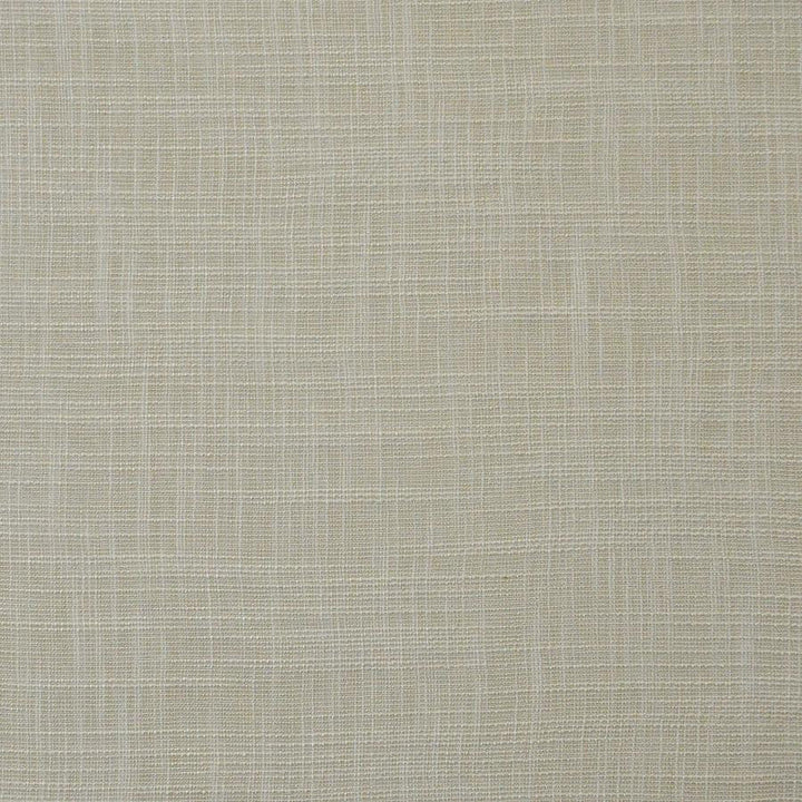 Daintree # 552 Plaster by Maxwell Designer Fabric Pure & Simple Xv 65% POLYESTER/35%VISCOSE CHINA 55" - Swanky Fabrics -