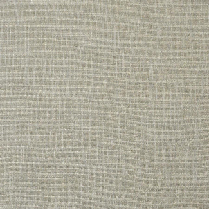 Daintree # 552 Plaster by Maxwell Fabric Pure & Simple Xv 65% POLYESTER/35%VISCOSE CHINA 55" - Fabric Carolina -
