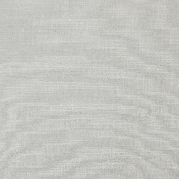 Daintree # 555 Coconut by Maxwell Designer Fabric Pure & Simple Xv 65% POLYESTER/35%VISCOSE CHINA 55" - Swanky Fabrics -