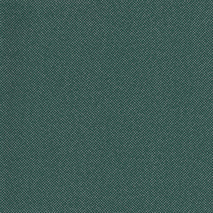 Downstage-Nj # 491 Lagoon by Maxwell Fabric
