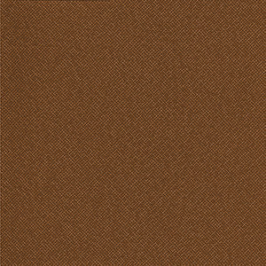 Downstage-Nj # 492 Cinnamon by Maxwell Fabric