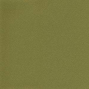 Downstage-Nj # 495 Moss by Maxwell Fabric