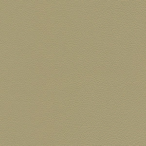 Downtown-Nj # 331 Sand Dollar by Maxwell Fabric