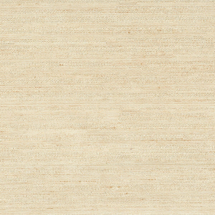 Dobbins 11 Chardonnay by Stout Fabric BEAUTIFUL ACCENTS 100%POL INDIA Horizontal: 0 and Vertical: 0 55 in - Fabric Carolina -