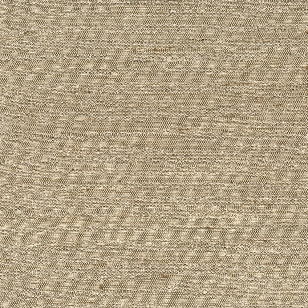 Dobbins 16 Fawn by Stout Fabric Color My Window Solids-Parchment/ Taupe 100% Polyester INDIA Horizontal: 0 and Vertical: 0 55 in - Fabric Carolina -