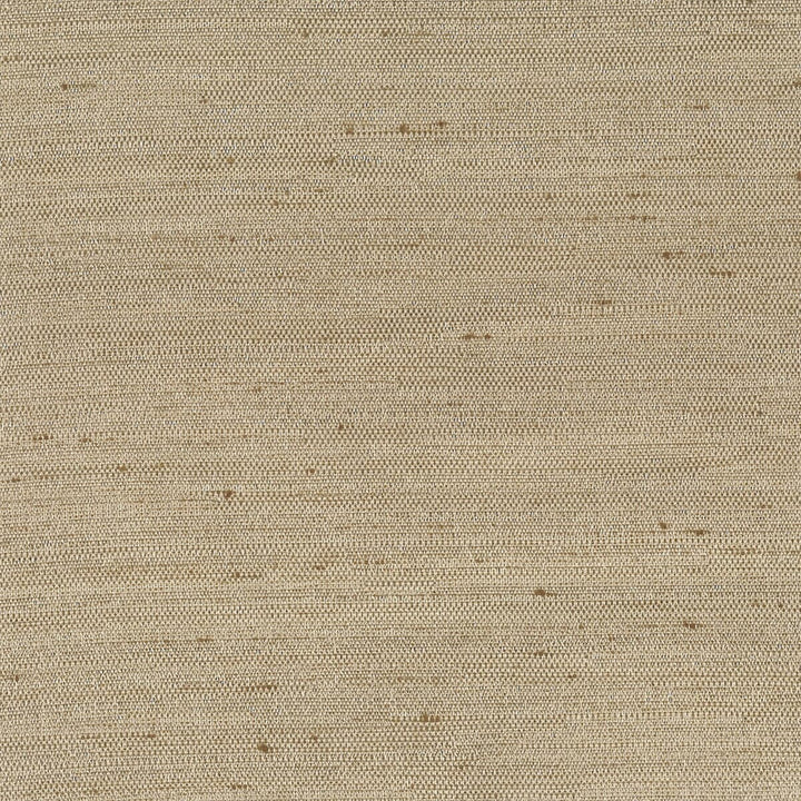 Dobbins 16 Fawn by Stout Fabric Color My Window Solids-Parchment/ Taupe 100% Polyester INDIA Horizontal: 0 and Vertical: 0 55 in - Fabric Carolina -