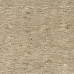 Dobbins 16 Fawn by Stout Fabric
