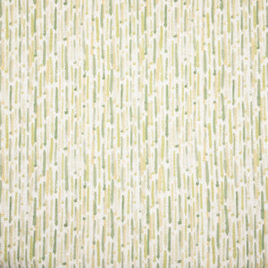 Dodds 1 Spring by Stout Fabric