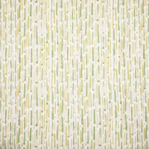 Dodds 1 Spring by Stout Fabric