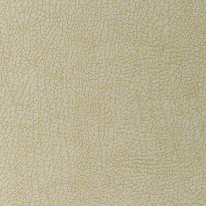 Dogwood-1 by Kravet Design Fabric POLYCARBONATE - 100% Japan HEAVY Horizontal: 6.5 and Vertical: 11 54 - Fabric Carolina -