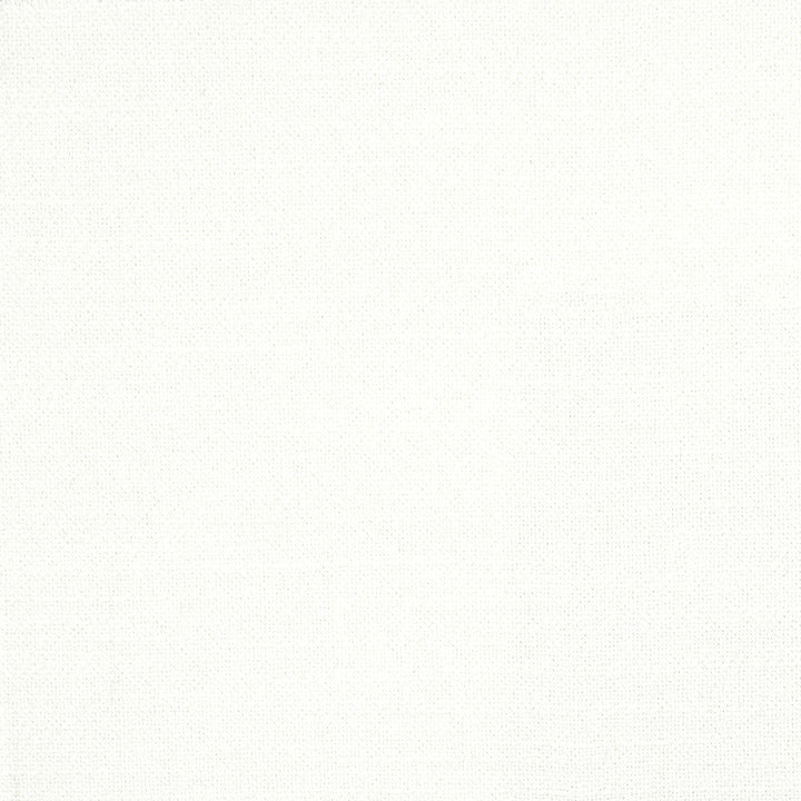Dolly 2 Frost by Stout Fabric Stout Fabric Dolly 2 FrostFabric COLOR MY WINDOW NEUTRAL/MICA 100%POL INDIA </p><p>Repeat: H: 0.000, V: 0.000 54 in - Fabric Carolina -