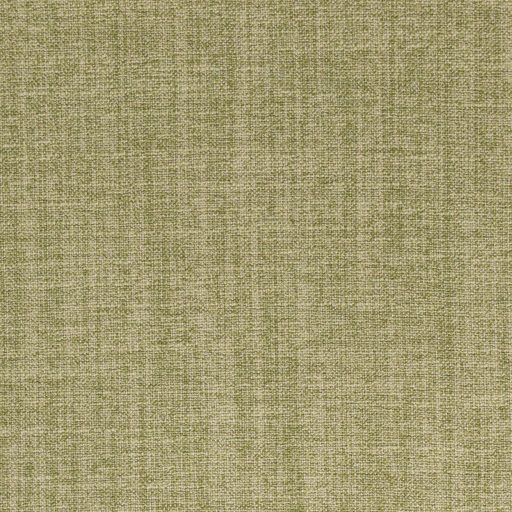 Dolly 4 Cypress by Stout Fabric Stout Fabric Dolly 4 CypressFabric RAINBOW LIBRARY PEAR/JUNGLE INDIA </p><p>Repeat: H: 0.000, V: 0.000 54 in - Fabric Carolina -