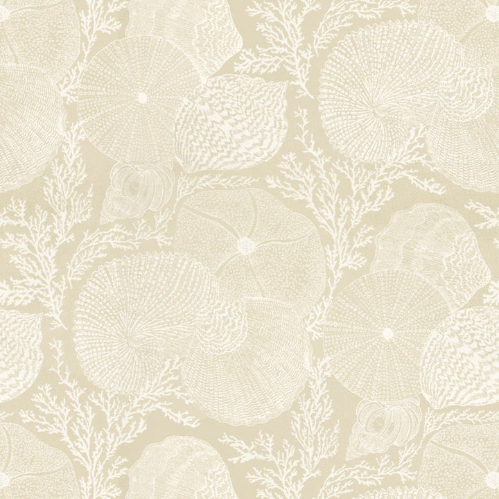 Dolphin 1 Taupe by Stout Fabric RAINBOW LIBRARY MUSHROOM/TAUPE 92%COT 8%POL USA FLAME RETARDANT-U.F.A.C. CLASS 1 CATB 117-2013 WYZENBEEK 15 000 DOUBLE RUB WEAR TEST (HEAVY DUTY) Horizontal: 27 and Vertical: 25.5 54 in - Fabric Carolina -