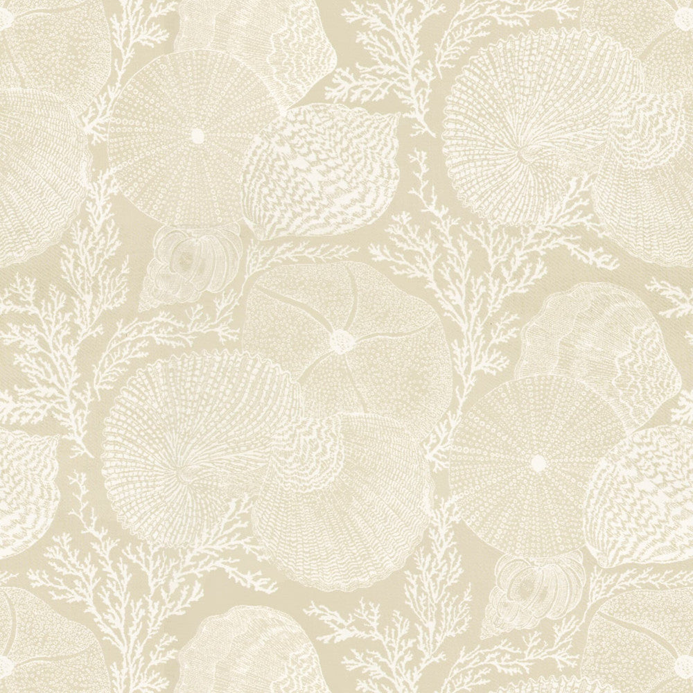 Dolphin 1 Taupe by Stout Fabric Rainbow Library Mushroom/Taupe 92% Cotton 8% Polyester USA FLAME RETARDANT-U.F.A.C. CLASS 1 (OR A) CATB 117-2013 WYZENBEEK 15 000 DOUBLE RUB WEAR TEST (HEAVY DUTY) Horizontal: 27 and Vertical: 25.5 54 in - Fabric Carolina -