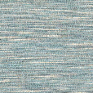 Domain 2 Blue/white by Stout Fabric