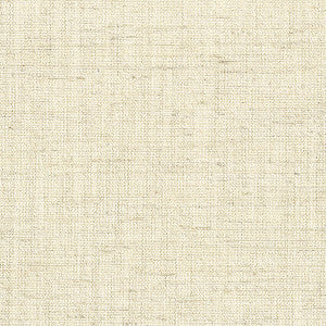 Domain 5 Natural by Stout Fabric