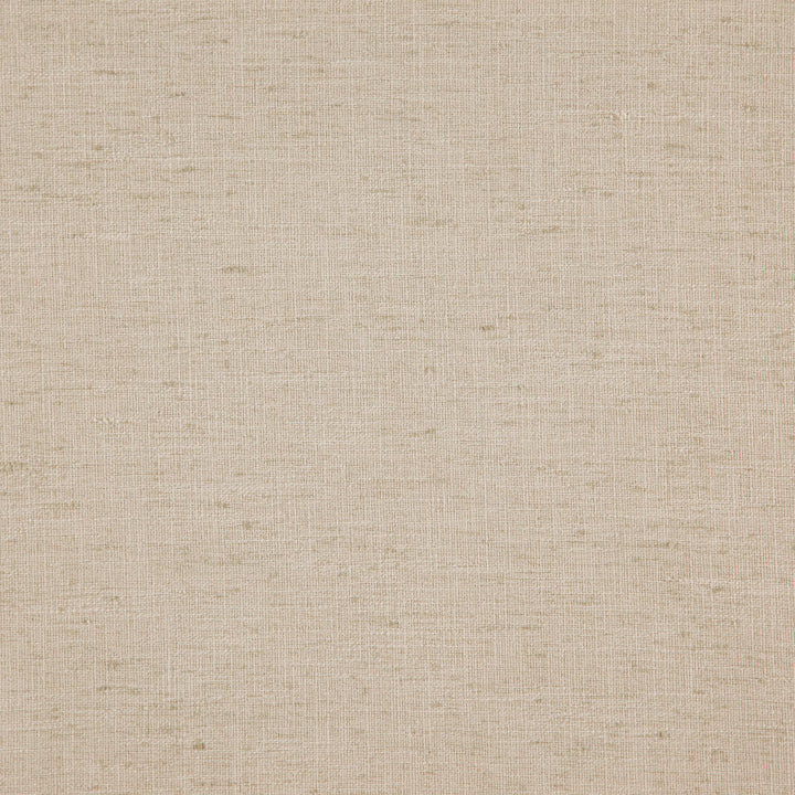 Domain 11J7891 by JF Fabric Dynamo 100% Polyester India 95000 Horizontal: and Vertical: 55 - Fabric Carolina -