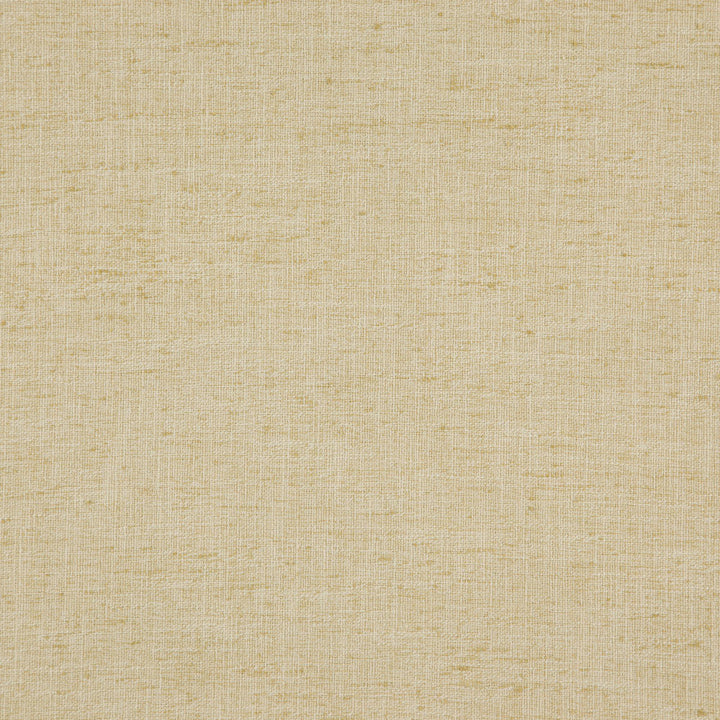 Domain 12J7891 by JF Fabric Dynamo 100% Polyester India 95000 Horizontal: and Vertical: 55 - Fabric Carolina -