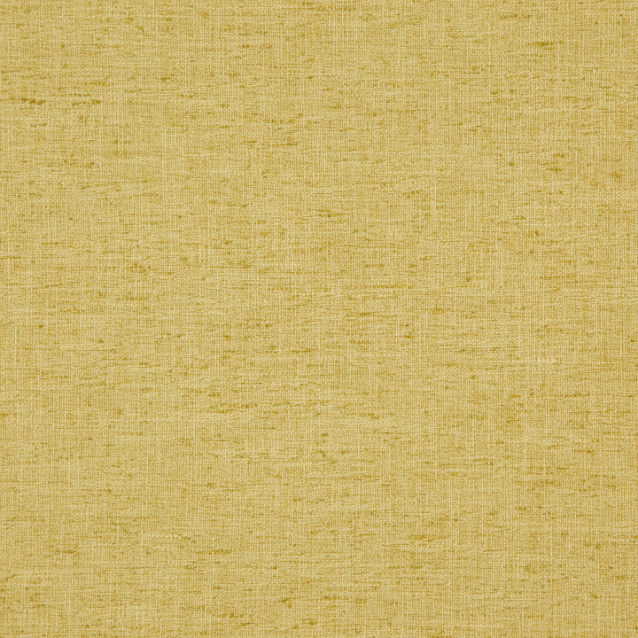 DOMAIN 13J7891 by JF Fabric Dynamo 100% Polyester India Horizontal: and Vertical: 55 - Fabric Carolina -
