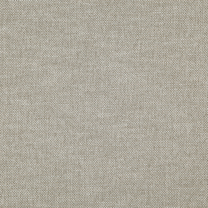 Donato 32J8301 by JF Fabric Everyday Crusader Fibreguard 79% Polyester, 21% Viscose India 20000 Horizontal: and Vertical: 55 - Fabric Carolina -
