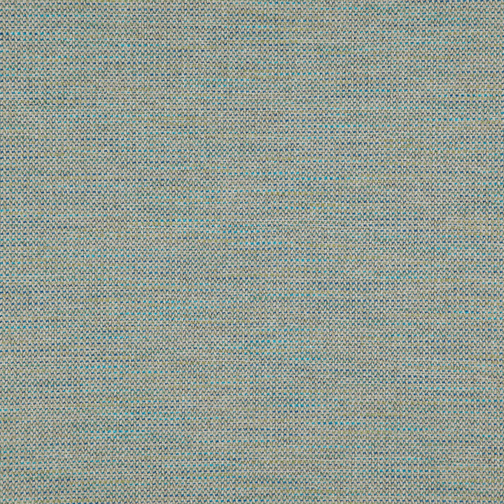 Donato 65J8301 by JF Designer Fabric Everyday Crusader Fibreguard 79% Polyester, 21% Viscose India 20000 Horizontal: and Vertical: 55 - Swanky Fabrics -