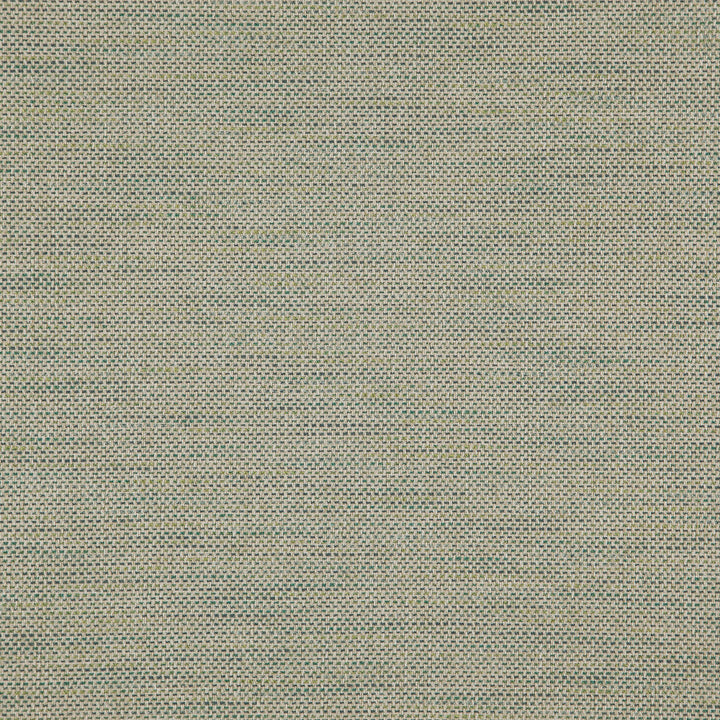 Donato 74J8301 by JF Designer Fabric Everyday Crusader Fibreguard 79% Polyester, 21% Viscose India 20000 Horizontal: and Vertical: 55 - Swanky Fabrics -