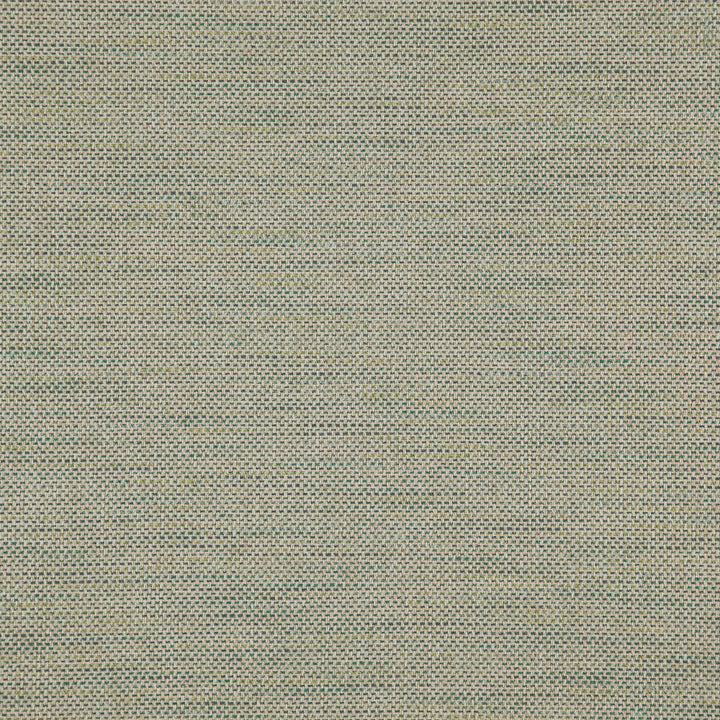 Donato 74J8301 by JF Fabric Everyday Crusader Fibreguard 79% Polyester, 21% Viscose India 20000 Horizontal: and Vertical: 55 - Fabric Carolina -