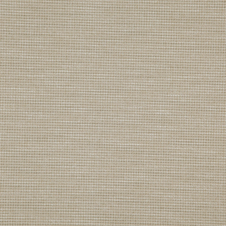 Donato 94J8301 by JF Designer Fabric Everyday Crusader Fibreguard 79% Polyester, 21% Viscose India 20000 Horizontal: and Vertical: 55 - Swanky Fabrics -