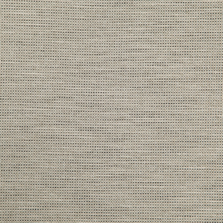 Donato 96J8301 by JF Designer Fabric Everyday Crusader Fibreguard 79% Polyester, 21% Viscose India 20000 Horizontal: and Vertical: 55 - Swanky Fabrics -
