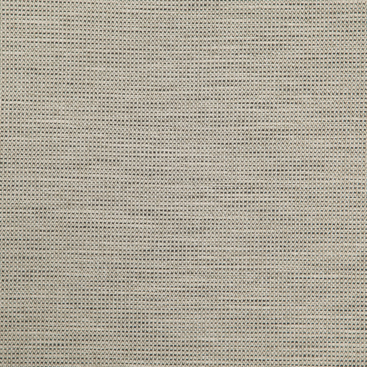 Donato 96J8301 by JF Fabric Everyday Crusader Fibreguard 79% Polyester, 21% Viscose India 20000 Horizontal: and Vertical: 55 - Fabric Carolina -