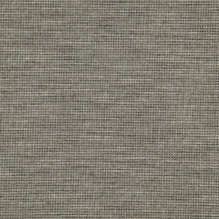 Donato 97J8301 by JF Designer Fabric Everyday Crusader Fibreguard 79% Polyester, 21% Viscose India 20000 Horizontal: and Vertical: 55 - Swanky Fabrics -