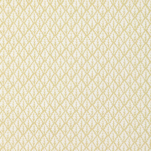Dorso Maize by Kravet Fabric