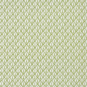 Dorso Olive by Kravet Fabric