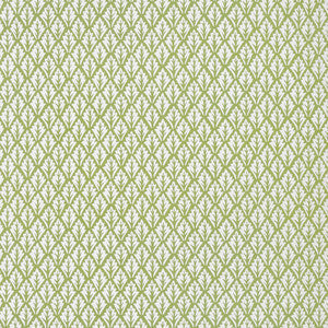Dorso Olive by Kravet Fabric