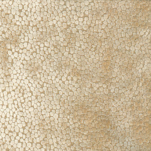 Dotson Bone by Magnolia Fabric