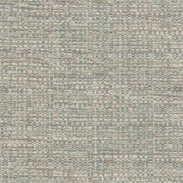 Douglas 1 Mineral by Aoc Fabric Aoc Fabric Douglas 1 MineralFabric THE ART OF COLOR WELL KEPT SECRET 90%POL 10%SVI CHINA </p><p>Repeat: H: 0.000, V: 0.000 55 in - Fabric Carolina -