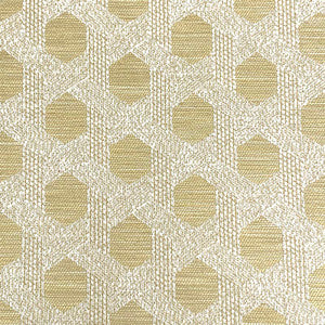 Doug Golden by Magnolia Fabric
