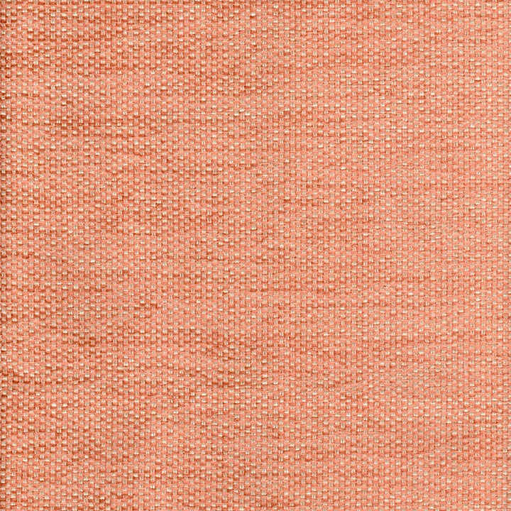 Doyle Peach by Magnolia Fabric See sample 32 Viscose 30 PolyesterPRO 28 Polyester 10 Cotton USA 15,000 </p><p>Repeat: Horizontal: 0 and Vertical: 0 54" - Fabric Carolina -