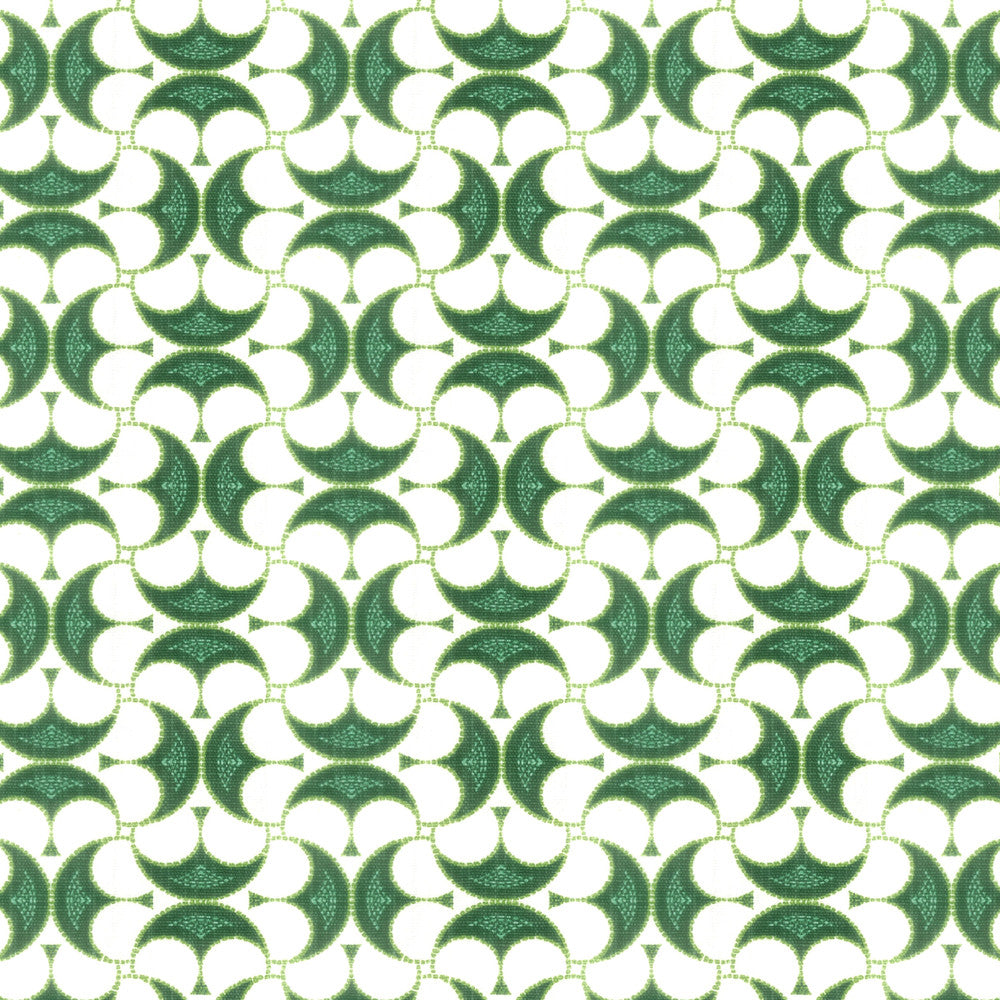 Drake 1 Bottle by Stout Fabric RAINBOW LIBRARY SPRING/EVERGREEN 88%COT 12%SVI USA CATB 117-2013 (WYZENBEEK 240 000 DOUBLE RUB WEAR TEST (HEAVY DUTY)) </p><p>Repeat: 5 54 in - Fabric Carolina -