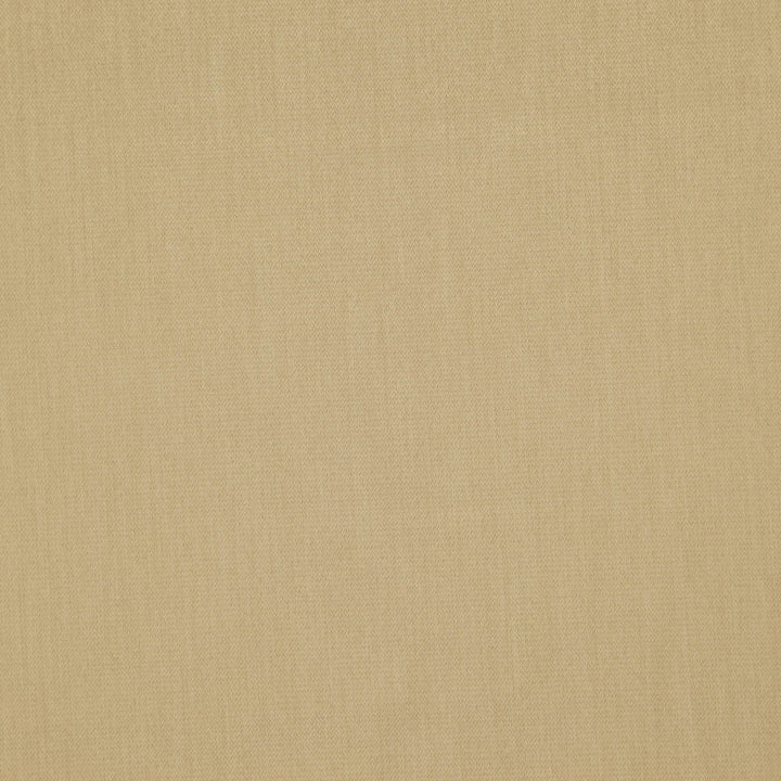 Dreamer 14J7601 by JF Fabric Dreamer Book 50% Polyester, 50% Polyacrylic China 70000 Horizontal: and Vertical: 55 - Fabric Carolina -