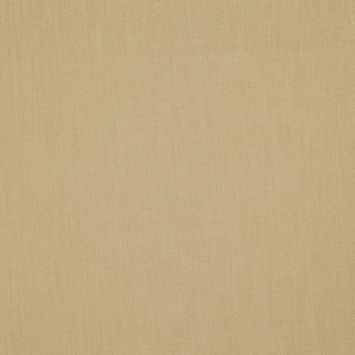 Dreamer 14J7601 by JF Designer Fabric Dreamer Book 50% Polyester, 50% Polyacrylic China 70000 Horizontal: and Vertical: 55 - Swanky Fabrics -