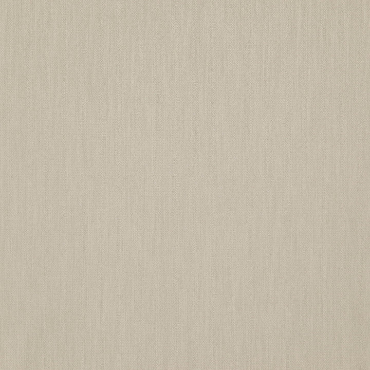 Dreamer 31J7601 by JF Designer Fabric Dreamer Book 50% Polyester, 50% Polyacrylic China 70000 Horizontal: and Vertical: 55 - Swanky Fabrics -