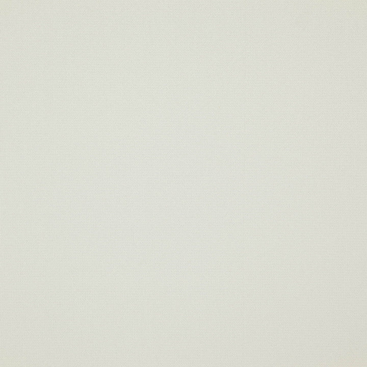 Dreamer 91J7601 by JF Designer Fabric Dreamer Book 50% Polyester, 50% Polyacrylic China 70000 Horizontal: and Vertical: 55 - Swanky Fabrics -