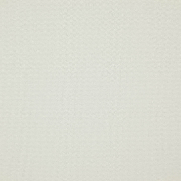 DREAMER 91J7601 by JF Fabric Dreamer Book 50% Polyester, 50% Polyacrylic China Horizontal: and Vertical: 55 - Fabric Carolina -