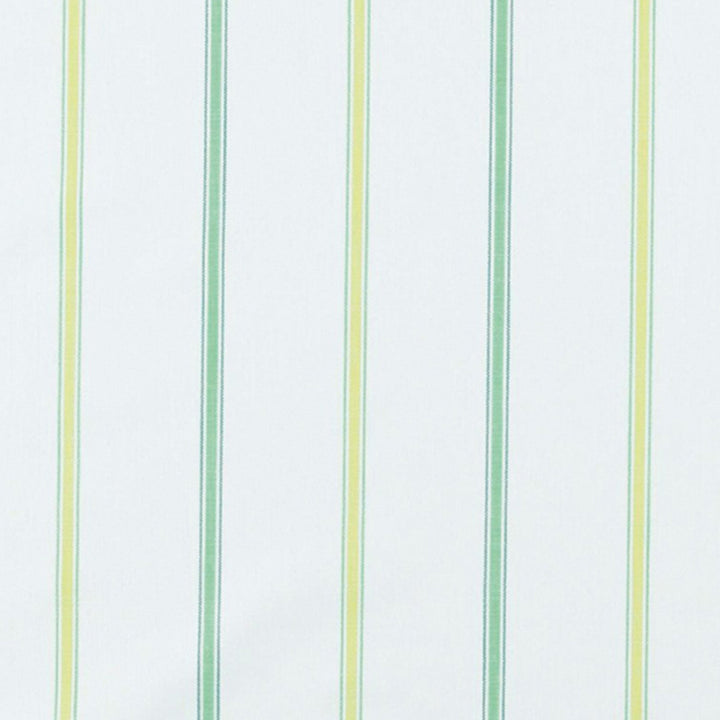 Drew 75J6871 by JF Fabric Sweet Tooth 52% Cotton, 48% Polyester India 78000 Horizontal: 5.875 and Vertical: 54 - Fabric Carolina -